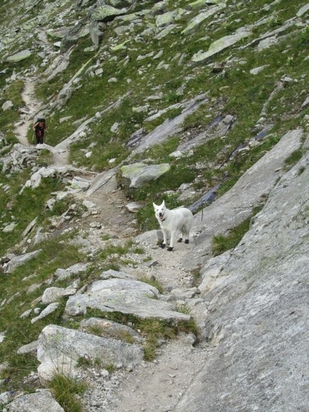 20100821 322 Krimml Richterhut