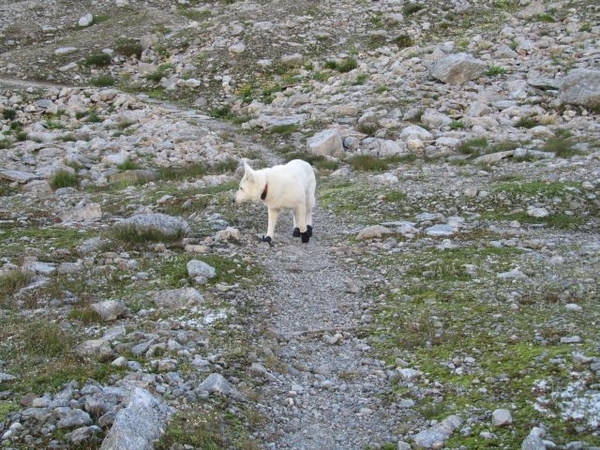 20100822 343 Krimml naar Richterspitze