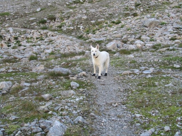 20100822 344 Krimml naar Richterspitze