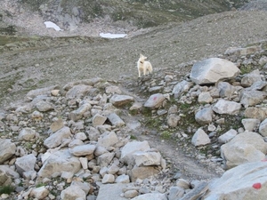 20100822 345 Krimml naar Richterspitze