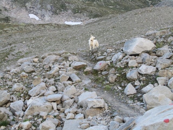 20100822 345 Krimml naar Richterspitze