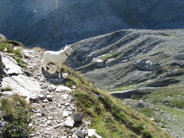 20100822 346 Krimml naar Richterspitze