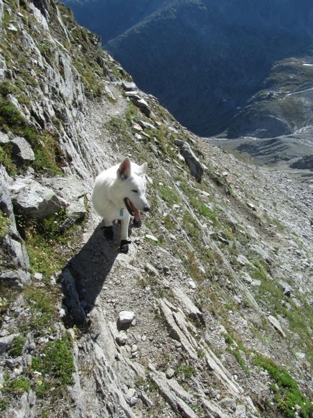 20100822 347 Krimml naar Richterspitze