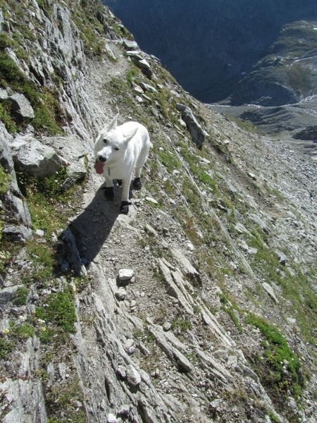 20100822 348 Krimml naar Richterspitze