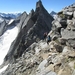 20100822 363 Krimml Richterspitze