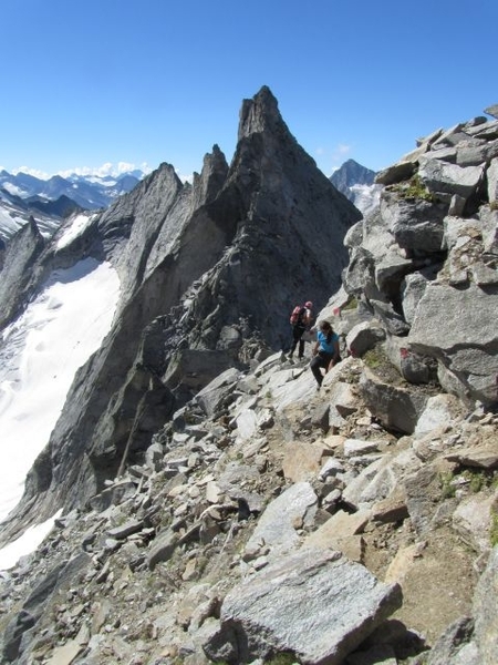 20100822 363 Krimml Richterspitze