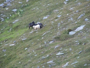 20100823 418 Krimml Windbachscharte