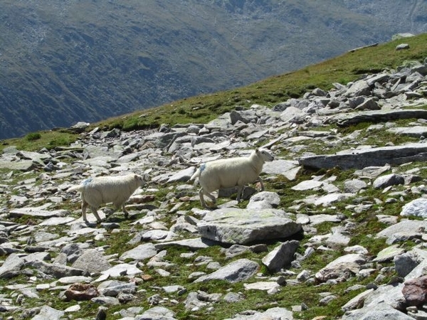 20100823 436 Krimml Windbachtal