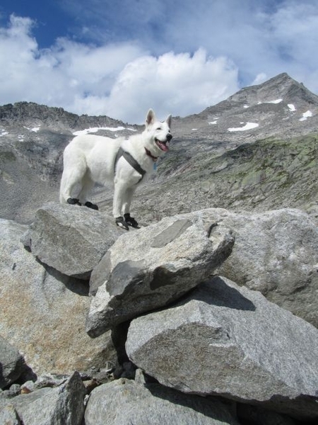 20100823 452 Krimml Eissee