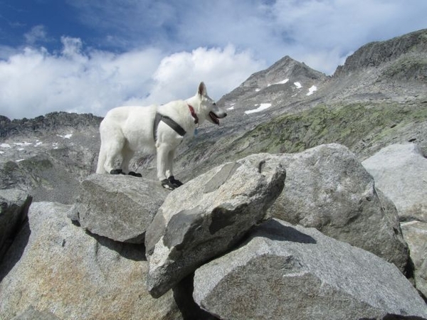 20100823 453 Krimml Eissee