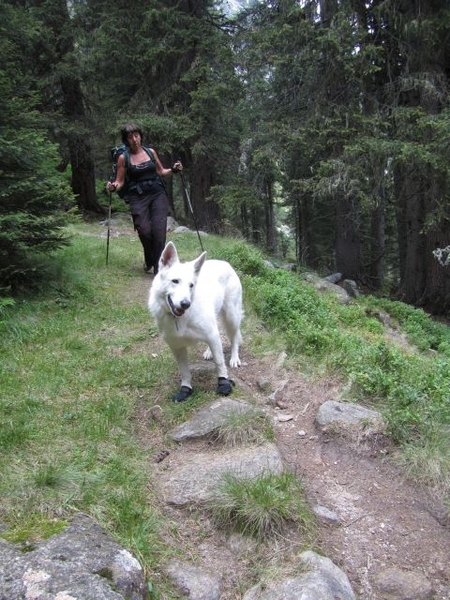 20100823 468 Krimml Windbachtal