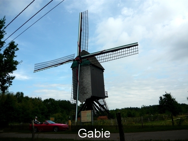 molen heide