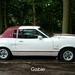 14_2010_08_22_Hagelandrit_BaalTremelo_P1120472_FordMustangWit