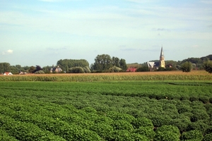 010 Pasar Erembodegem Fietstocht naar OLV Lombeek -  11.09.10