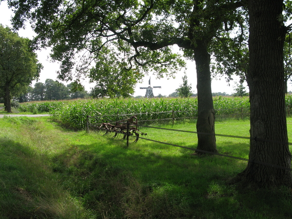 Neven en Nichtjesdag 021