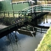 Zaanse Schans