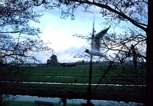 Zaanse Schans