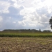 Familiefietstocht 13 09 2010 (255)