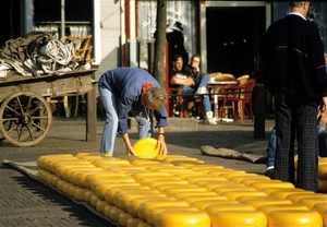 Alkmaar