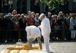 Alkmaar