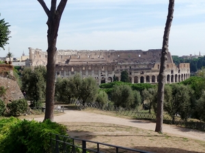 023 Colosseum