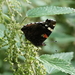 Atalanta,21-6-2022