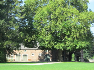 Kasteel de Merode