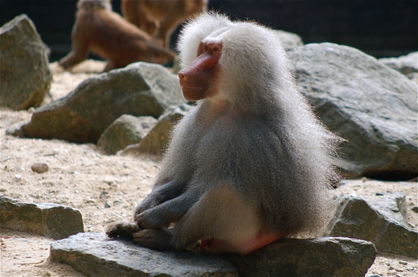 Noorder Dierenpark