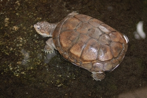 Noorder Dierenpark