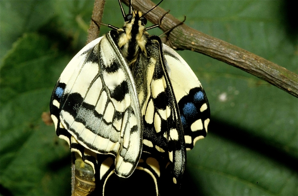 Noorder Dierenpark