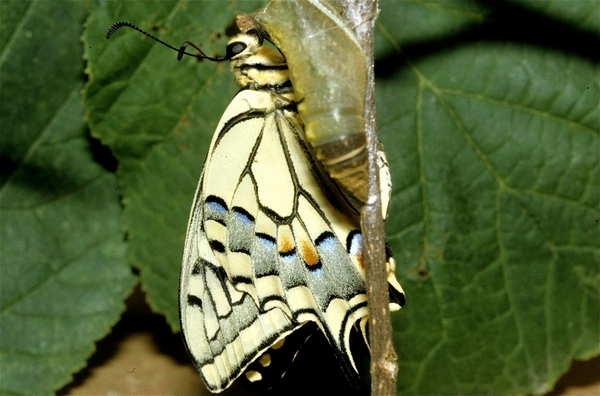 Noorder Dierenpark