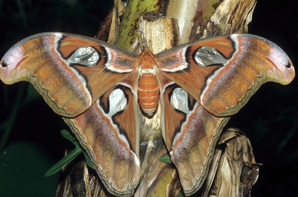 Noorder Dierenpark