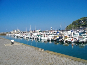 IMGP0445