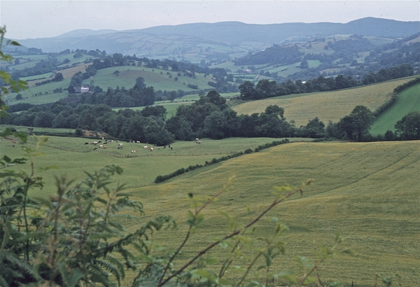 Yorkshire Dales