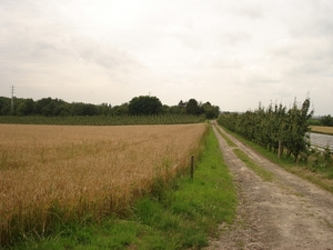 DSC04228