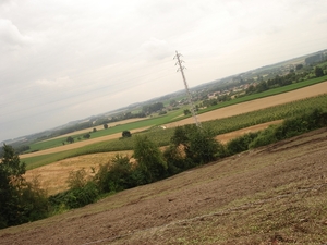 DSC04238