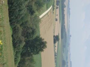 DSC04246