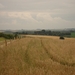 DSC04226
