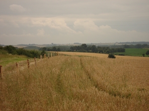 DSC04226
