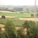 DSC04239