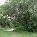 DSC04244