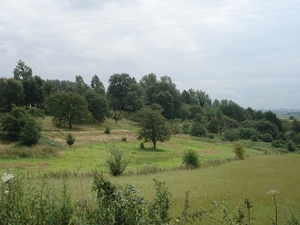 DSC04249