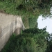 DSC04251