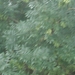 DSC04273