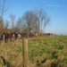 wandeling_20052