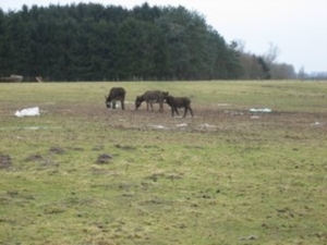 wandeling200620