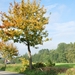 DSC_0001 OKTOBER...ZAAI EN PRACHTMAAND !