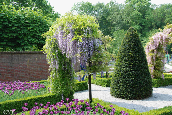 Keukenhof