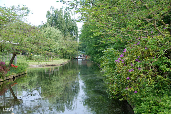 Keukenhof