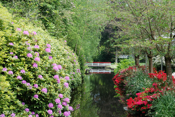 Keukenhof